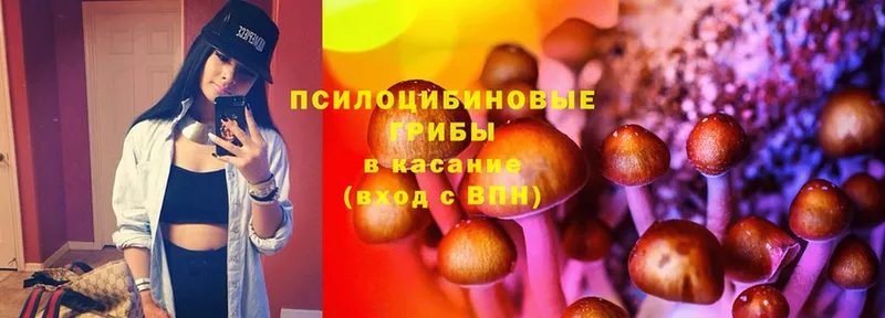 Псилоцибиновые грибы Magic Shrooms  Николаевск-на-Амуре 